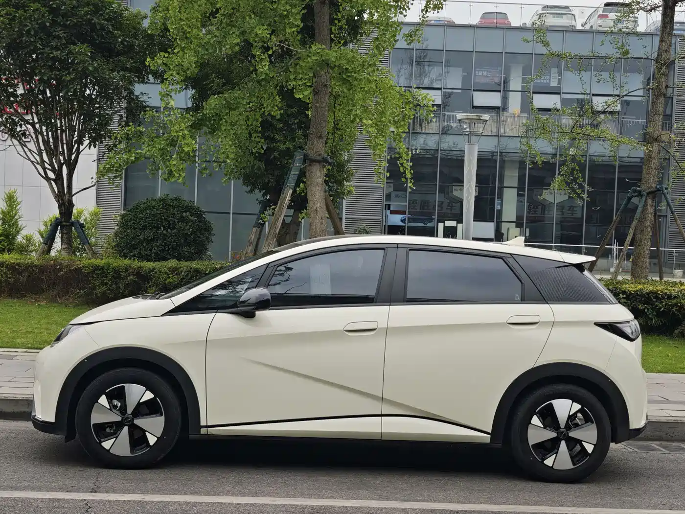 BYD Dolphin 2023 420km Fashion Edition фото 4