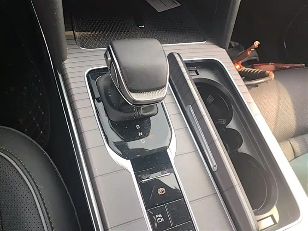 Hongqi HS7 PHEV 2024 2.0T PHEV AWD Qichang Edition 7-seater фото 14