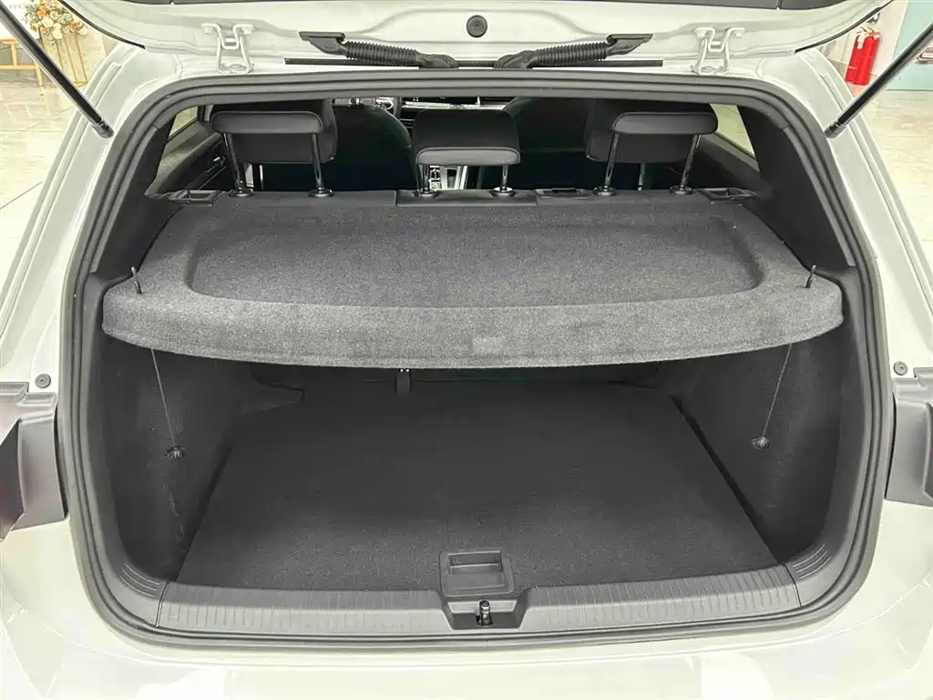 Volkswagen Golf 2021 280TSI DSG R-Line фото 16