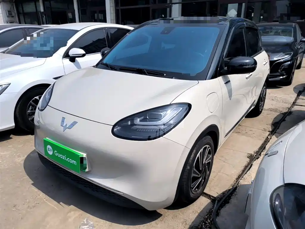 Wuling Motors Wuling Bingo 2023 Model 333km Joy+ Version