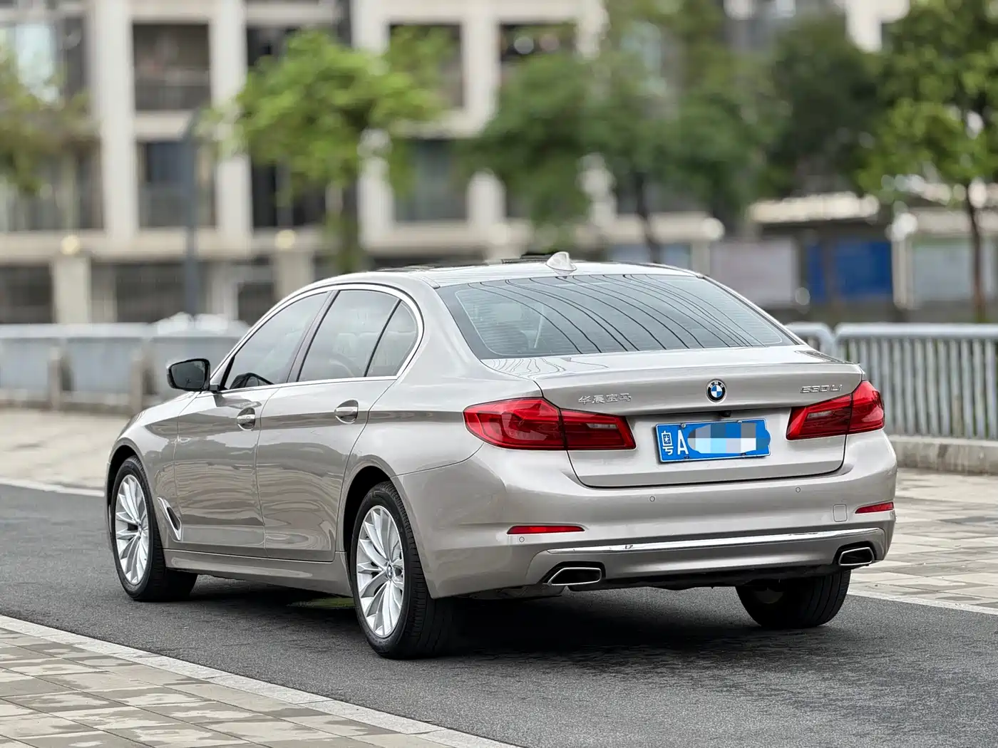 BMW 5 Series 2020 530Li Leading Luxury Package фото 6