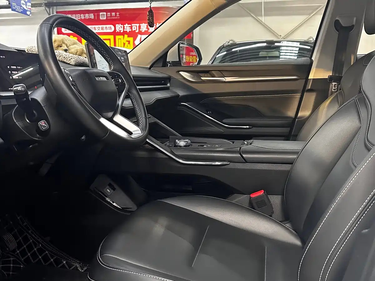 Haval H6 New Energy 2023 DHT-PHEV 55KM Joy Ride Edition фото 7