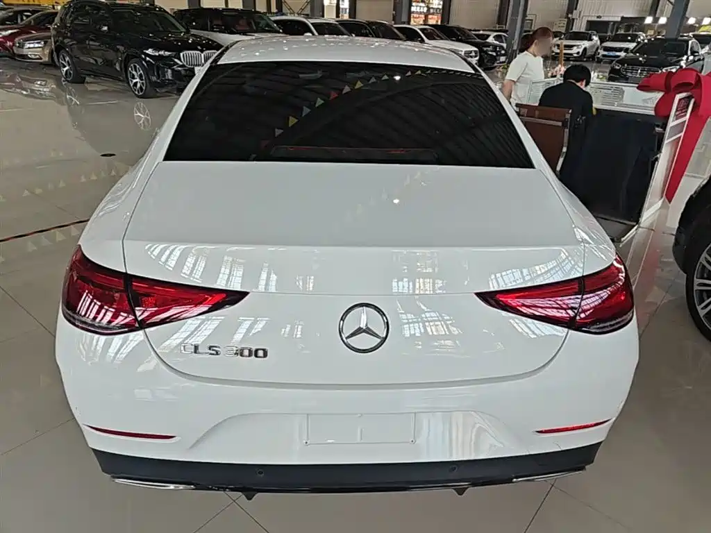 Mercedes-Benz CLS 2020 CLS 300 Dynamic фото 6