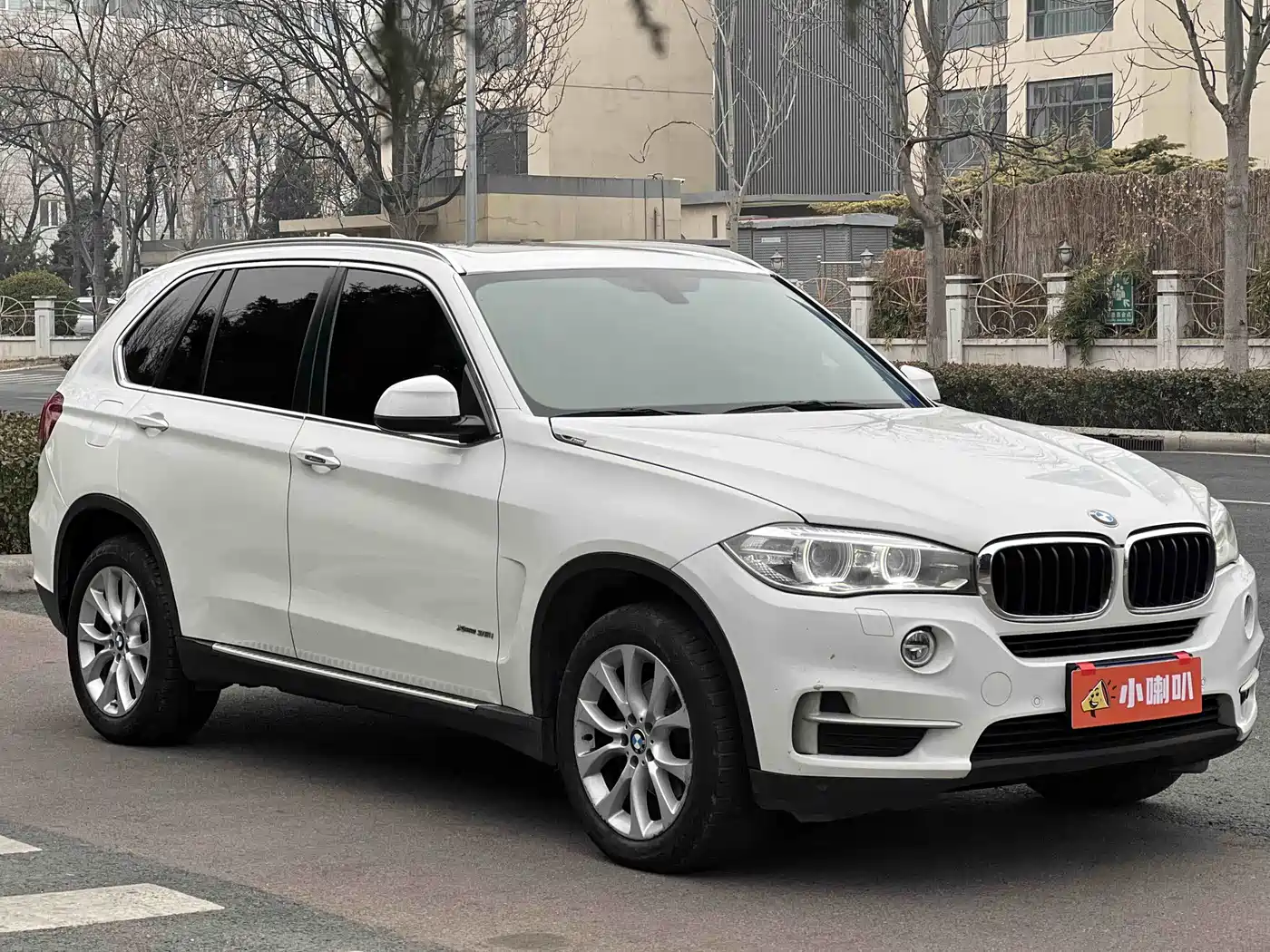 BMW X5 (Import) 2014 xDrive35i Elegance фото 3