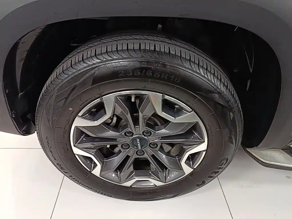 Haval Big Dog 2021 2.0T DCT 4WD Chinese Rural Dog Edition фото 23