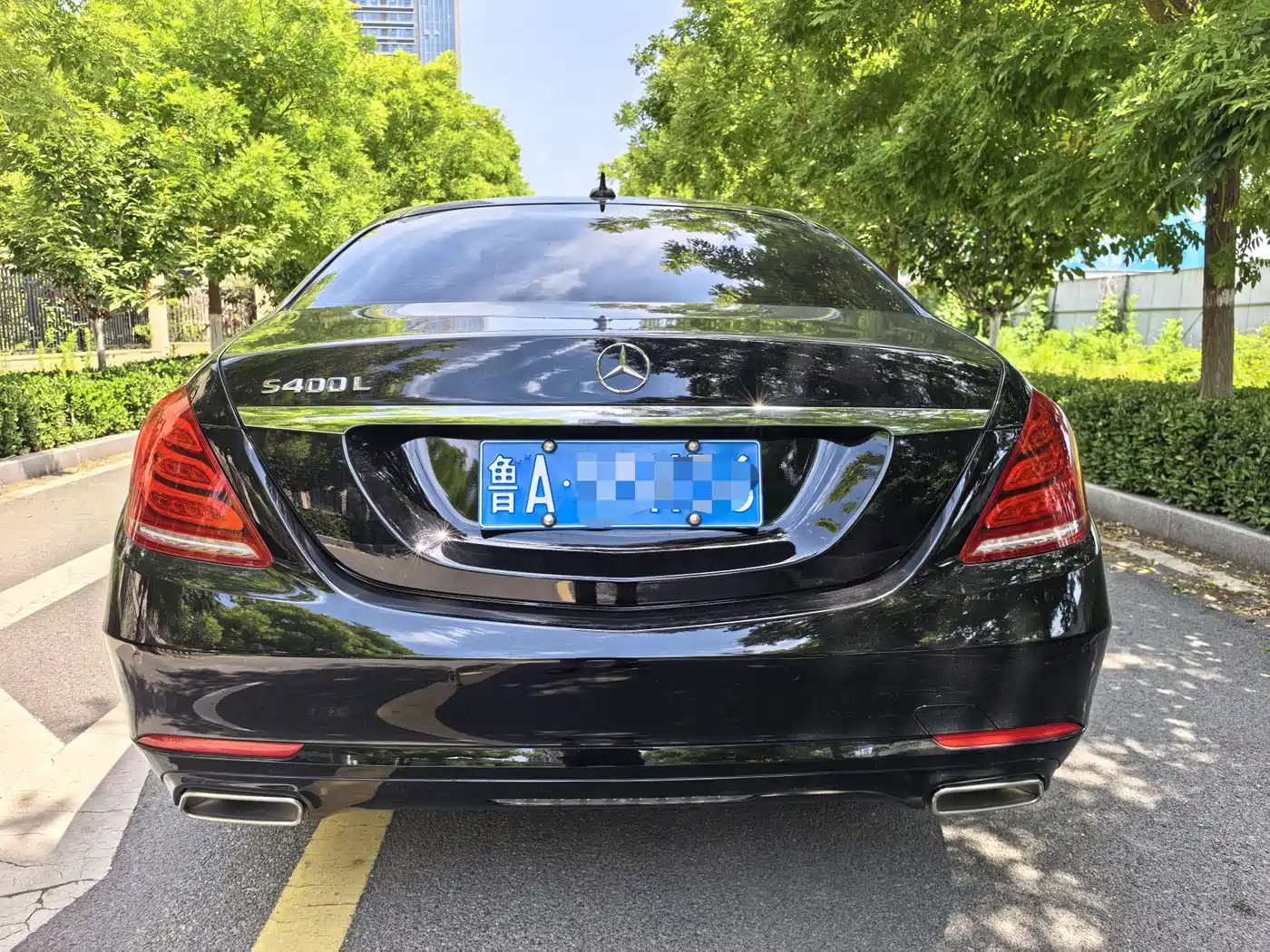 Mercedes-Benz S-Class 2016 S 320 L Luxury фото 6