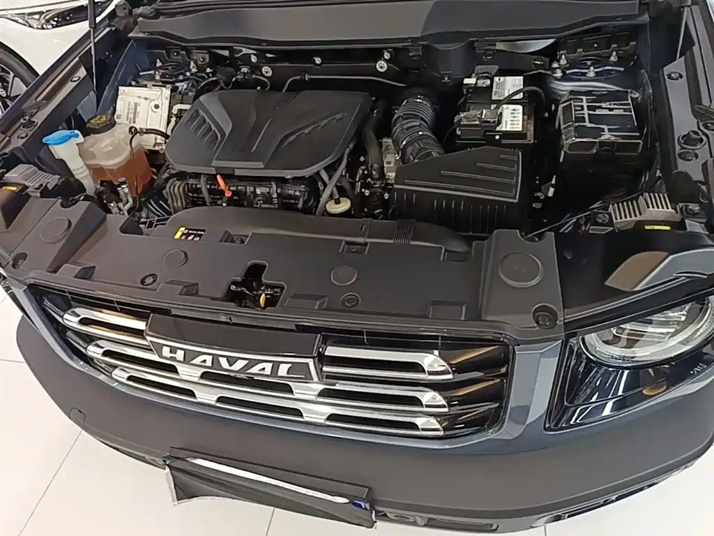 Haval Big Dog 2021 2.0T DCT 4WD Chinese Rural Dog Edition фото 20