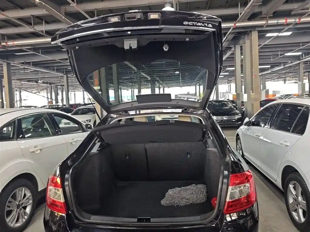 Škoda Octavia 2017 1.6L Automatic Smart Edition фото 19