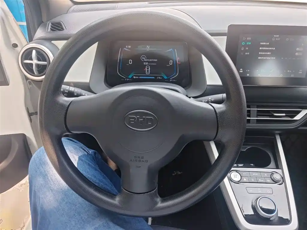 BYD e1 2020 Smart Comfort фото 11