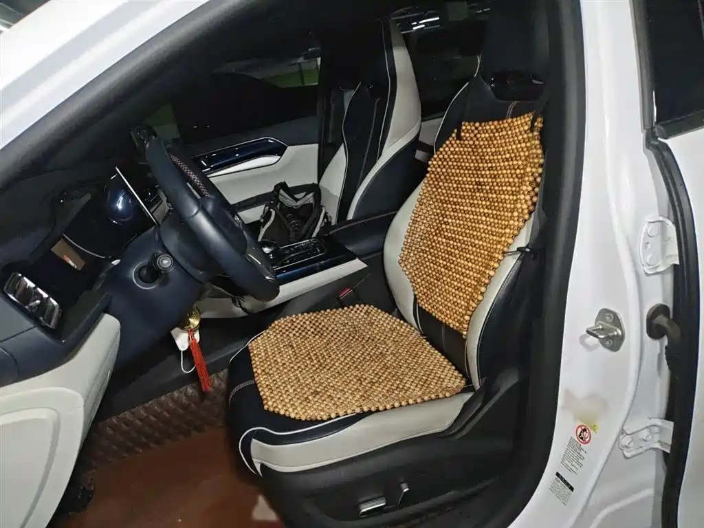 BYD Qin PLUS 2021 EV 500KM Luxury Model фото 8