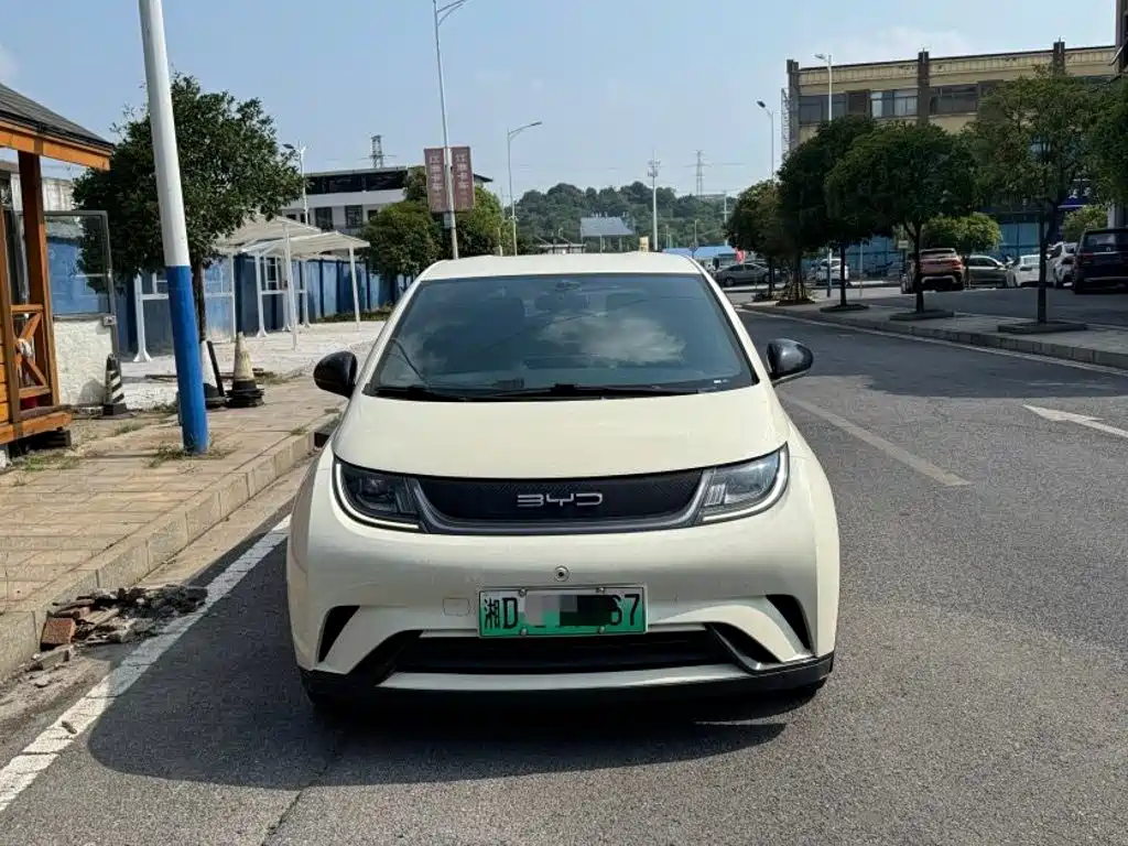 Фото 2 - BYD Dolphin