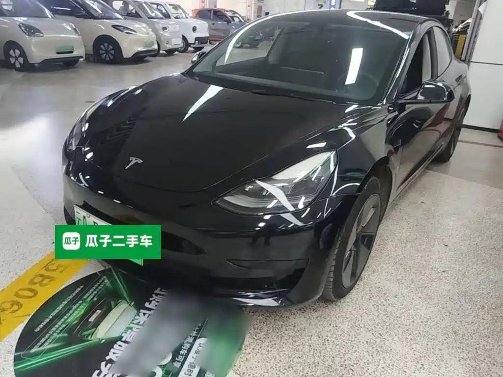 Tesla Model 3 2021 Standard Range Rear-Wheel Drive Upgrade 3D6