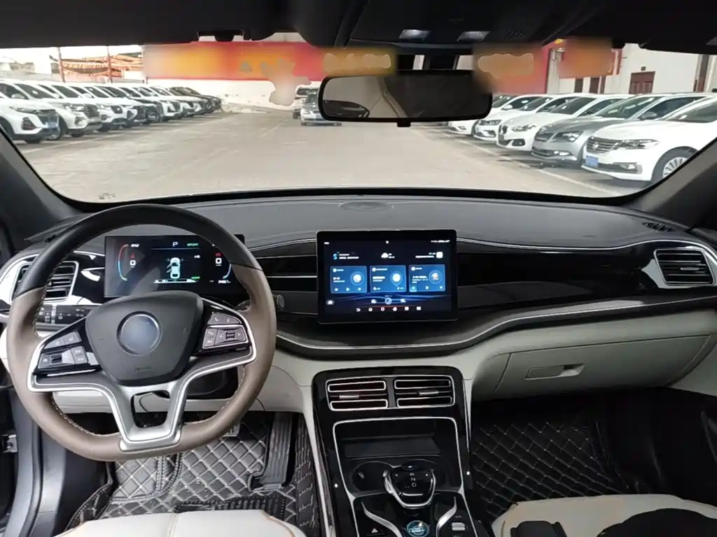 BYD Qin PLUS 2024 Glory Edition EV 420KM Surpass фото 10
