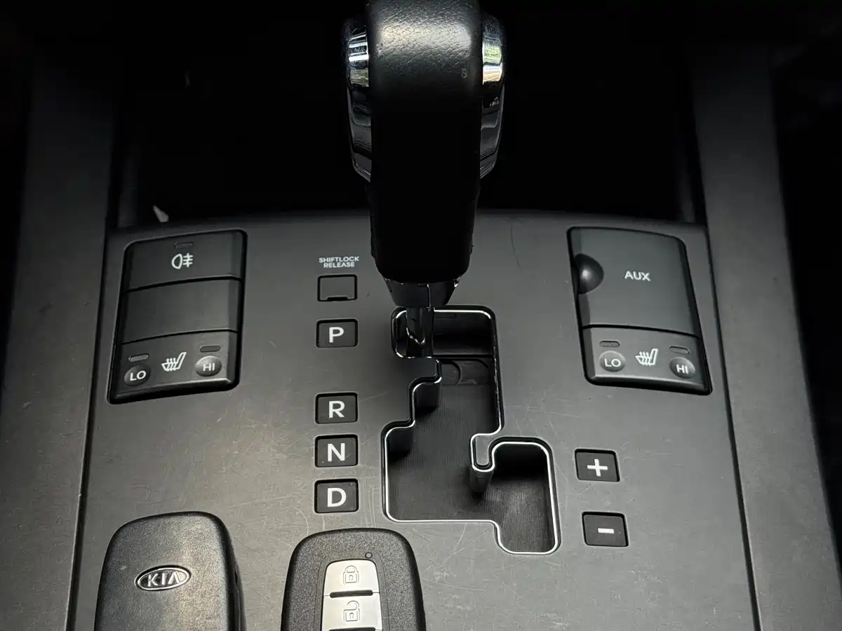 Kia Borego 2008 3.8L Luxury Edition China IV фото 20