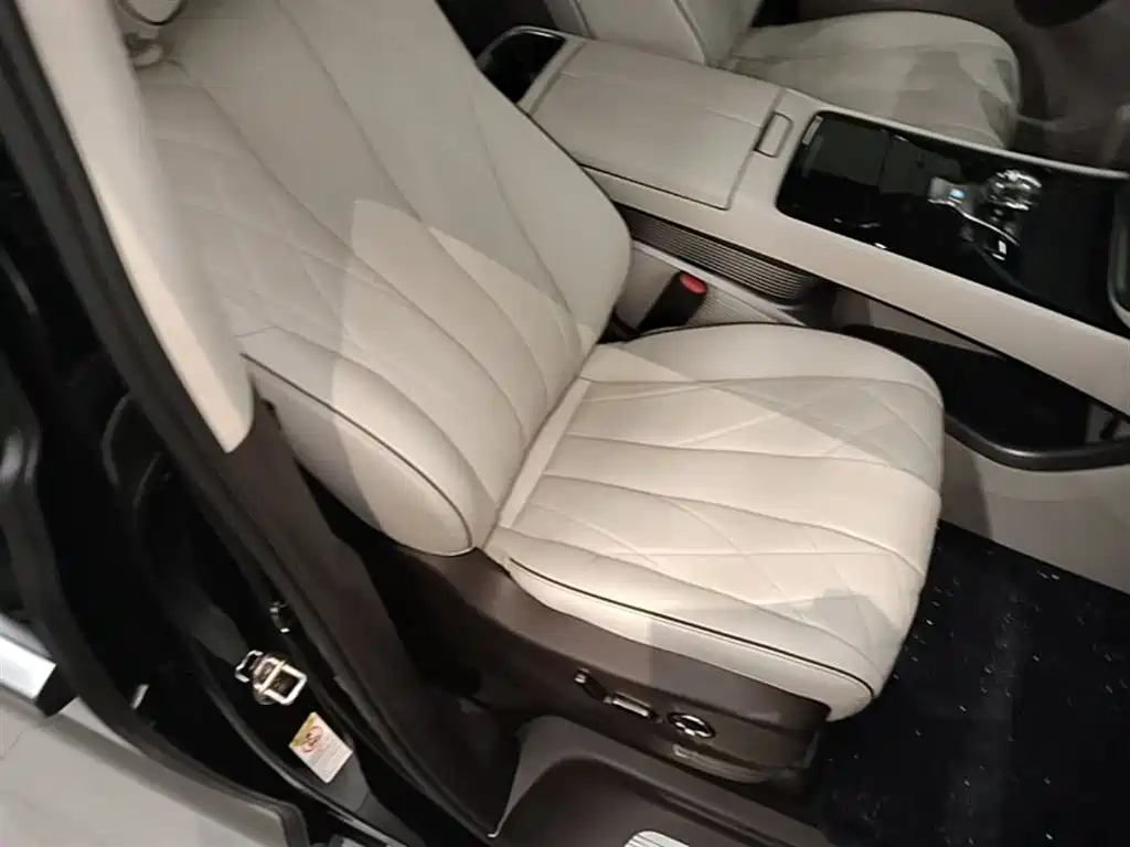 Denza D9 2024 DM-i 980 AWD Prestige фото 25