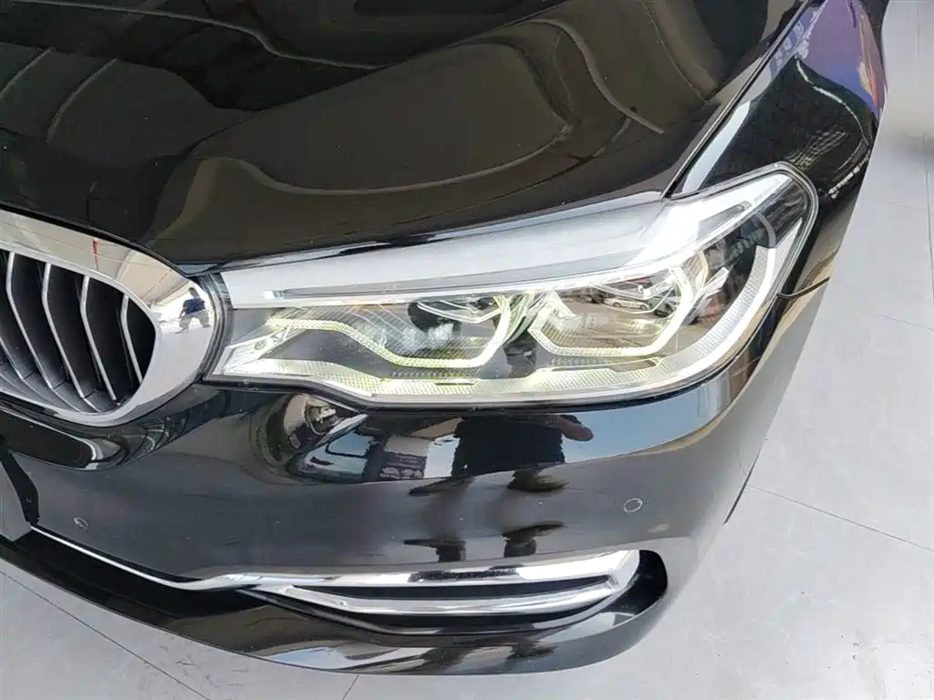 BMW 5 Series 2020 530Li Leading Luxury Package фото 24