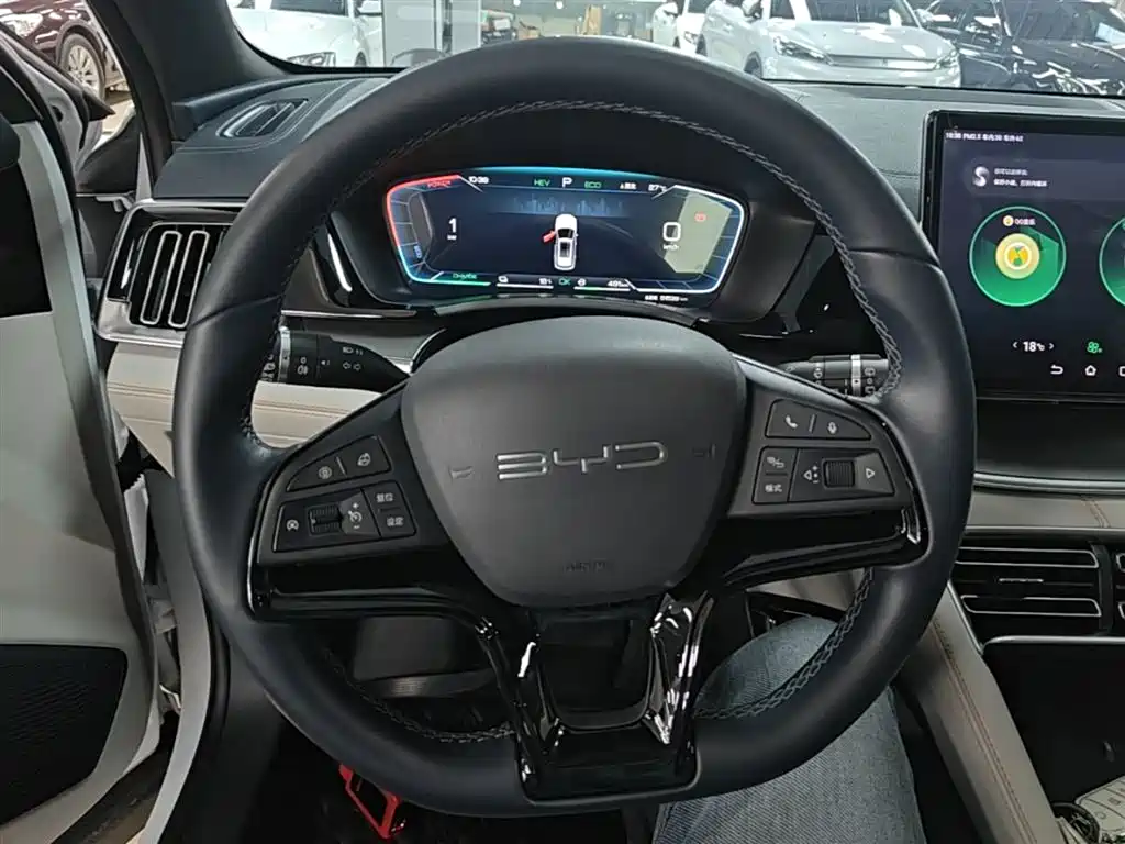 BYD Song PLUS PHEV 2023 Champion Edition DM-i 110KM Flagship фото 11
