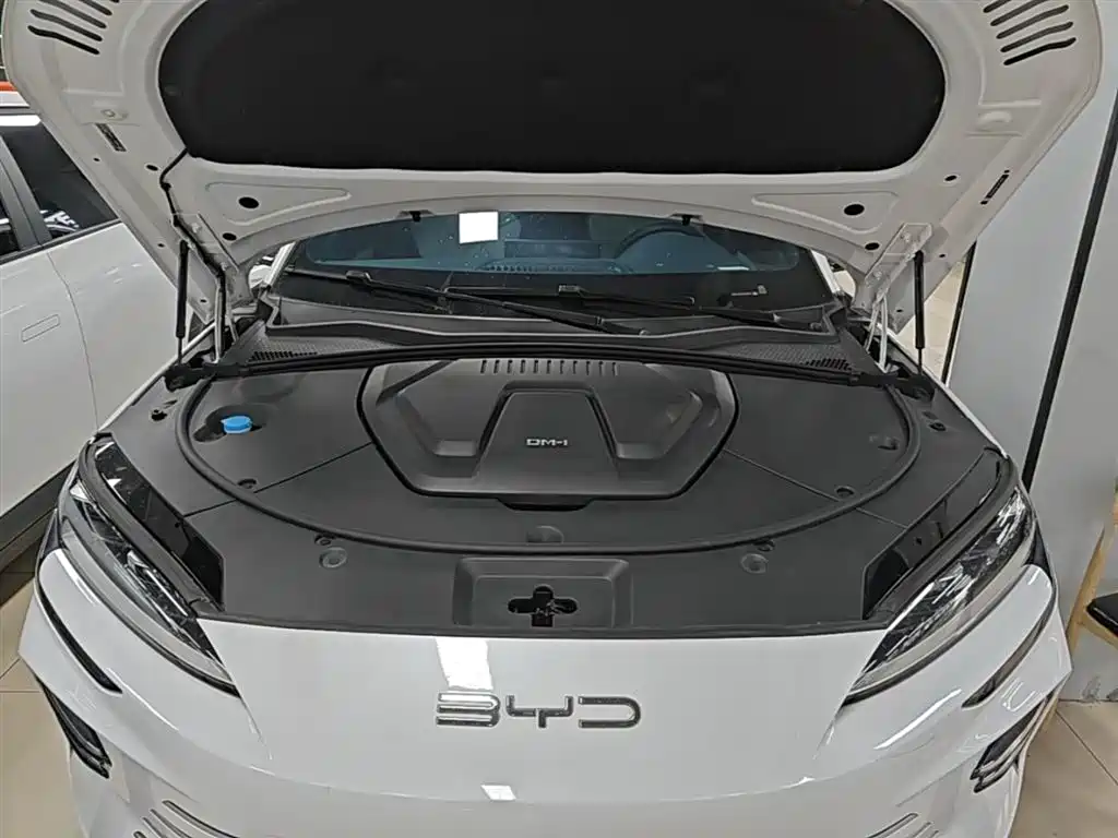 BYD Song PLUS PHEV 2023 Champion Edition DM-i 110KM Flagship фото 20
