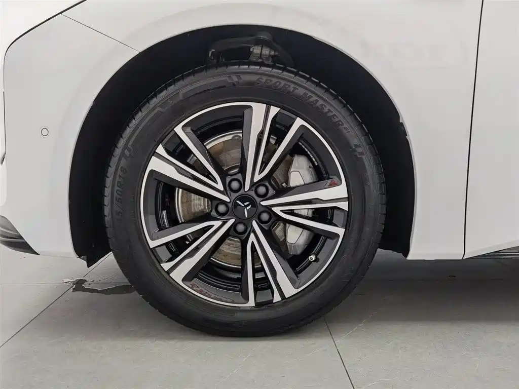 Hongqi EH7 2024 820 Pro Glory Edition фото 17