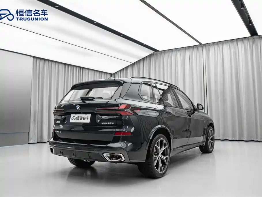 BMW X5 2023 xDrive 30Li Premium M Sport Black Night Package фото 9
