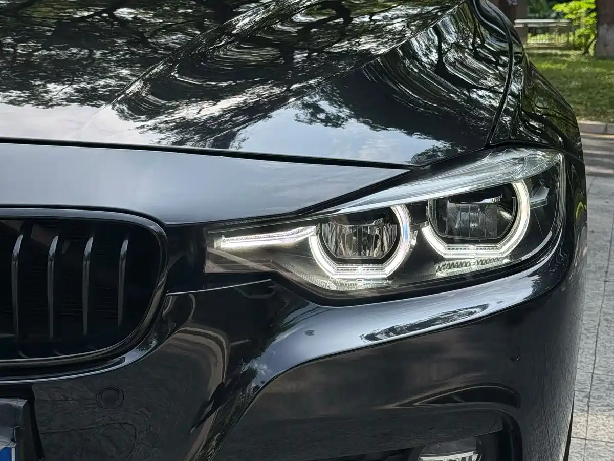 BMW 3 Series 2018 320Li Leading M Sport Package фото 3