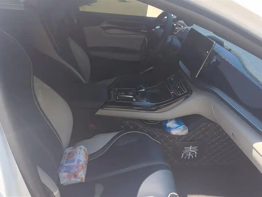 BYD Qin PLUS 2021 EV 500KM Premium Model фото 8