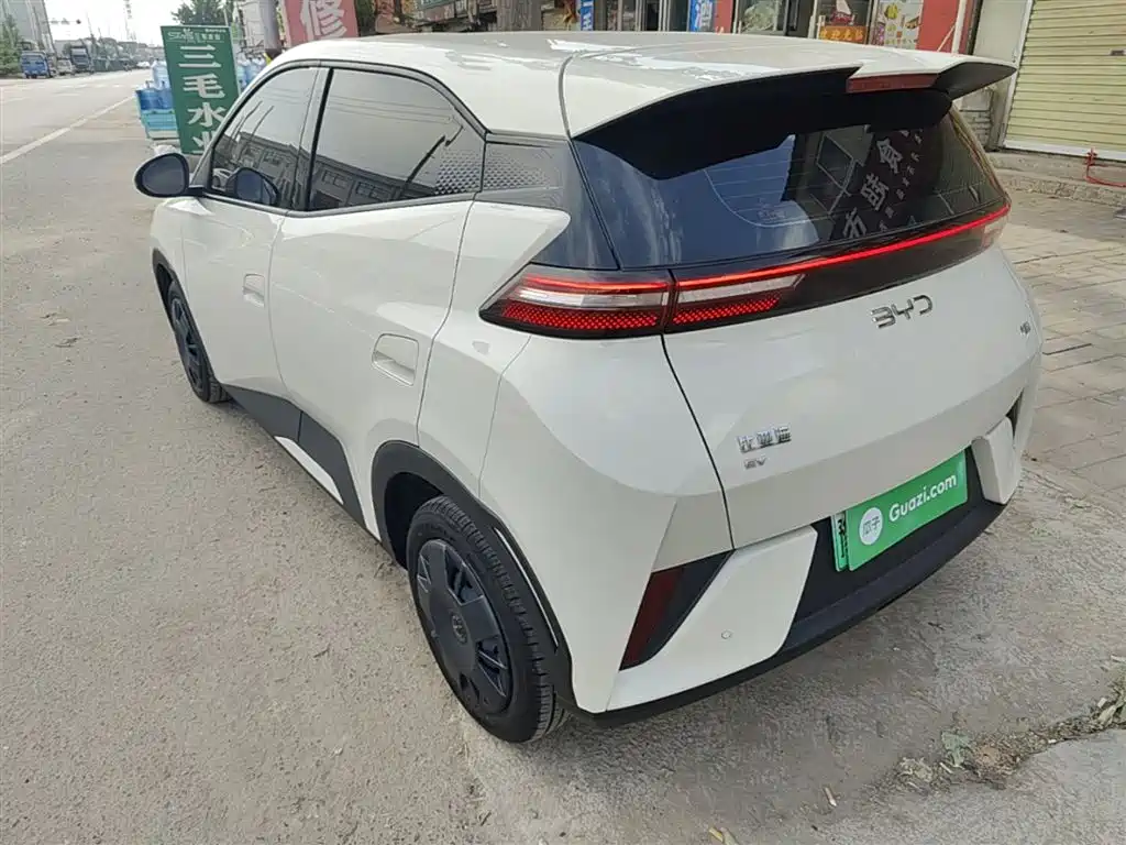 BYD Seagull 2025 Smart Drive Edition 305km Vitality Version фото 5