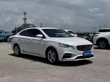 Фото 3 - Geely Borui