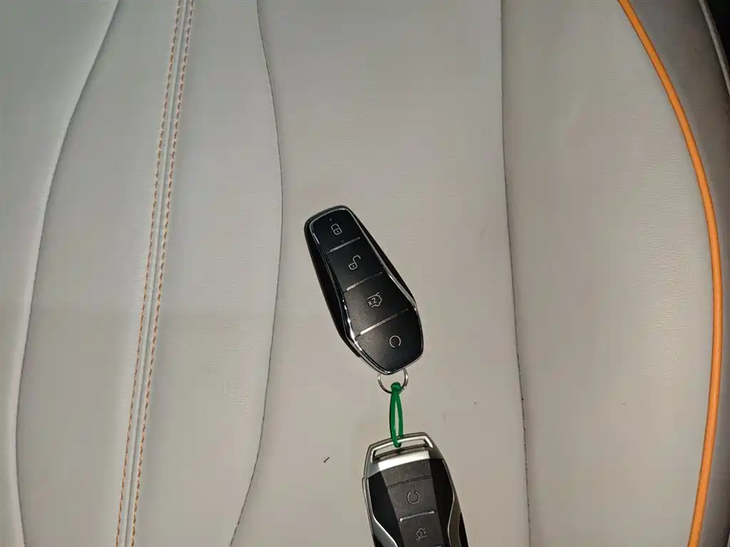 BYD Song Pro New Energy 2024 Glory Edition DM-i 71KM Pilot фото 17