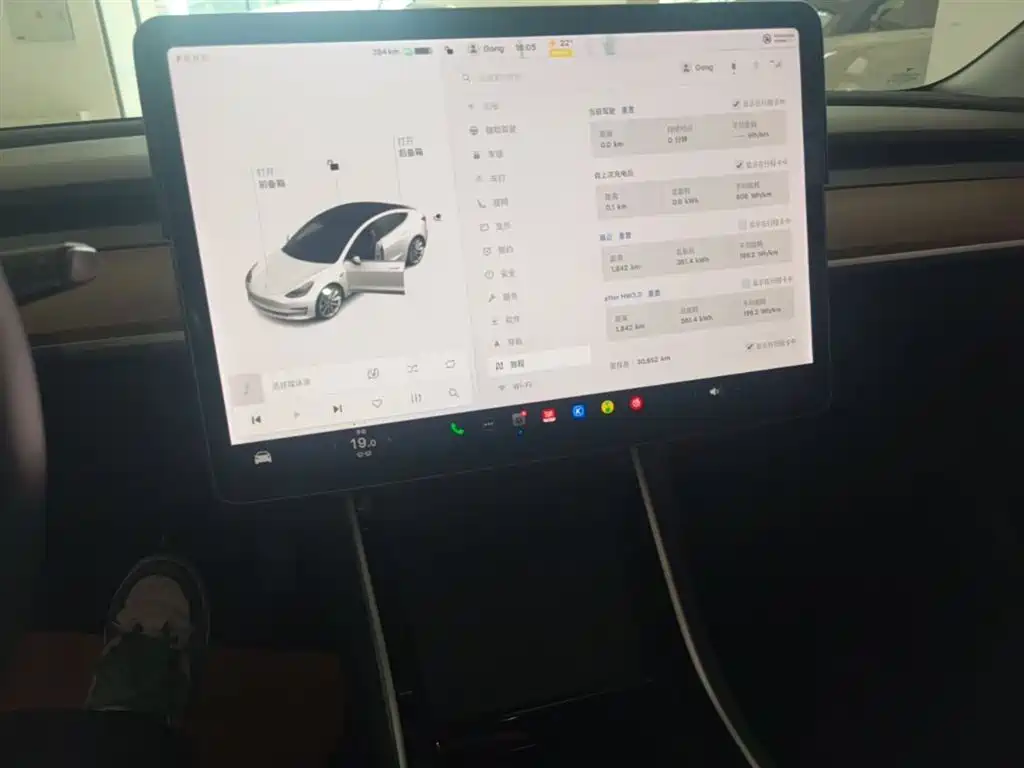 TESLA MODEL 3 (IMPORTED)