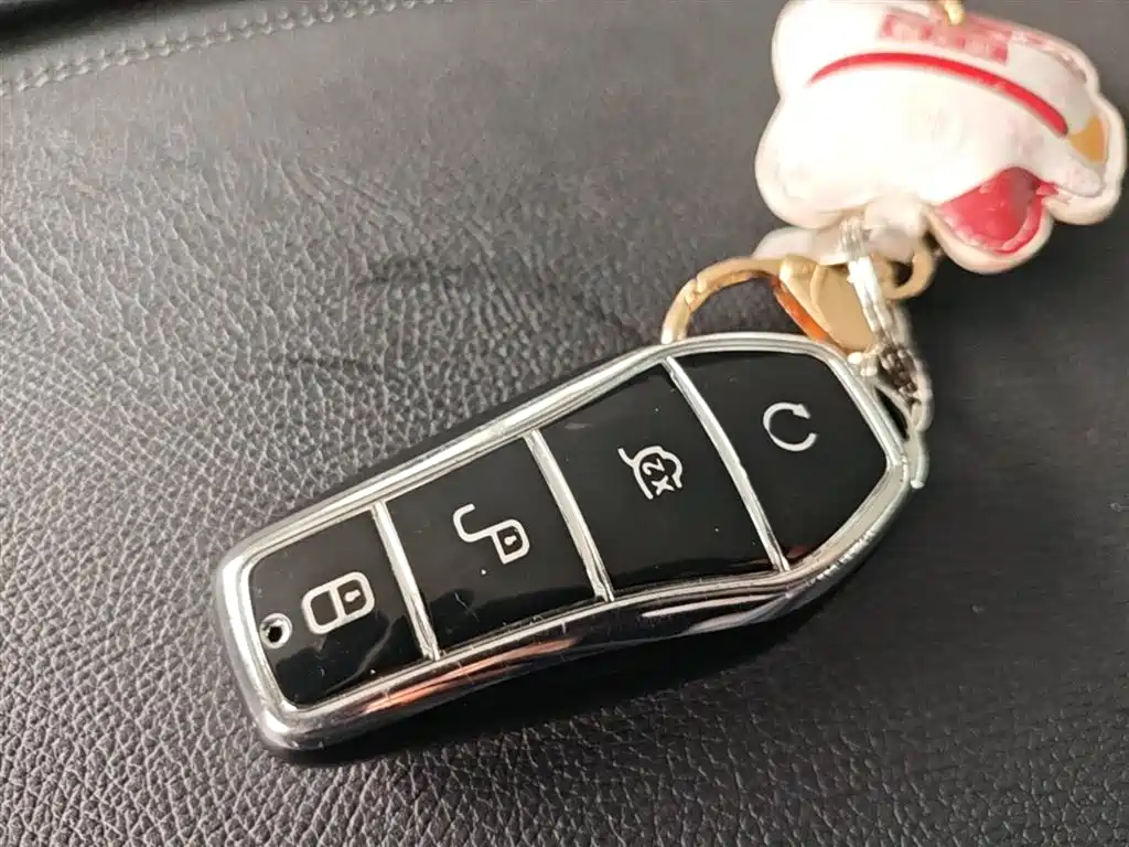 BYD Qin PLUS 2024 Glory Edition DM-i 55KM Leading фото 15