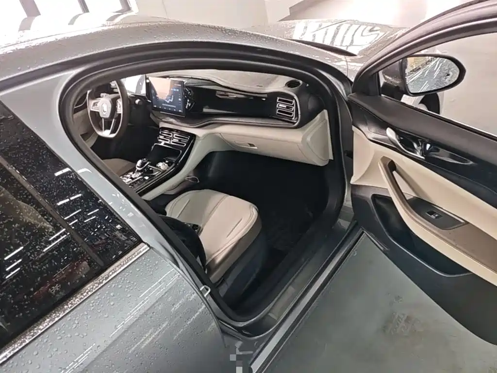 BYD Qin PLUS 2024 Glory Edition DM-i 55KM Leading фото 11