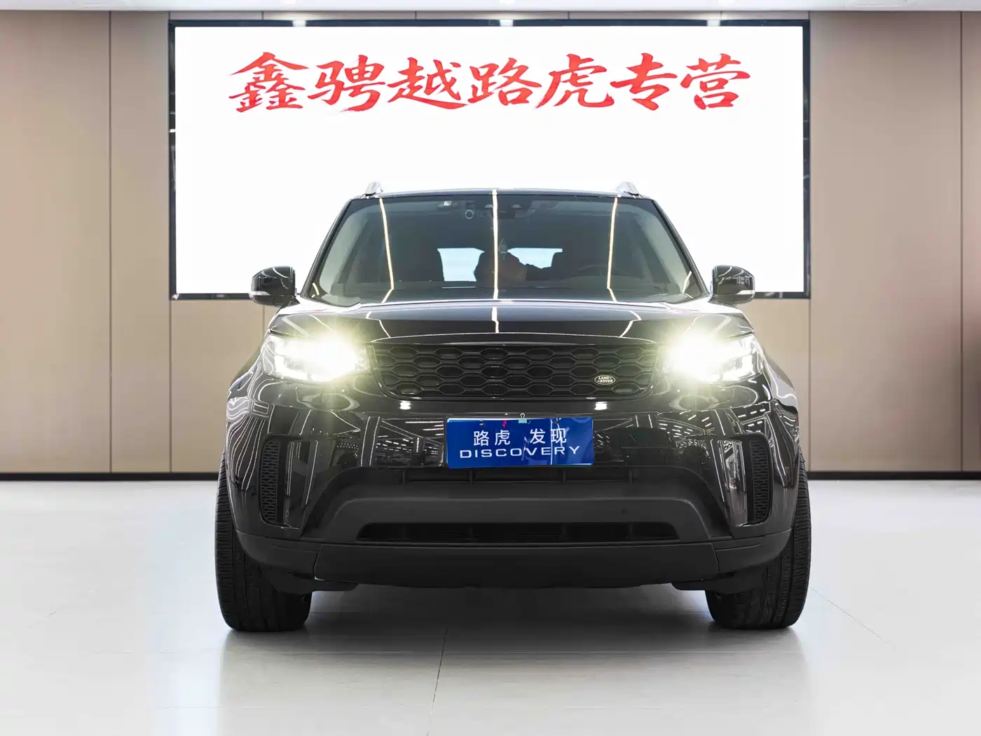 Land Rover Discovery 2018 2.0T SE фото 2