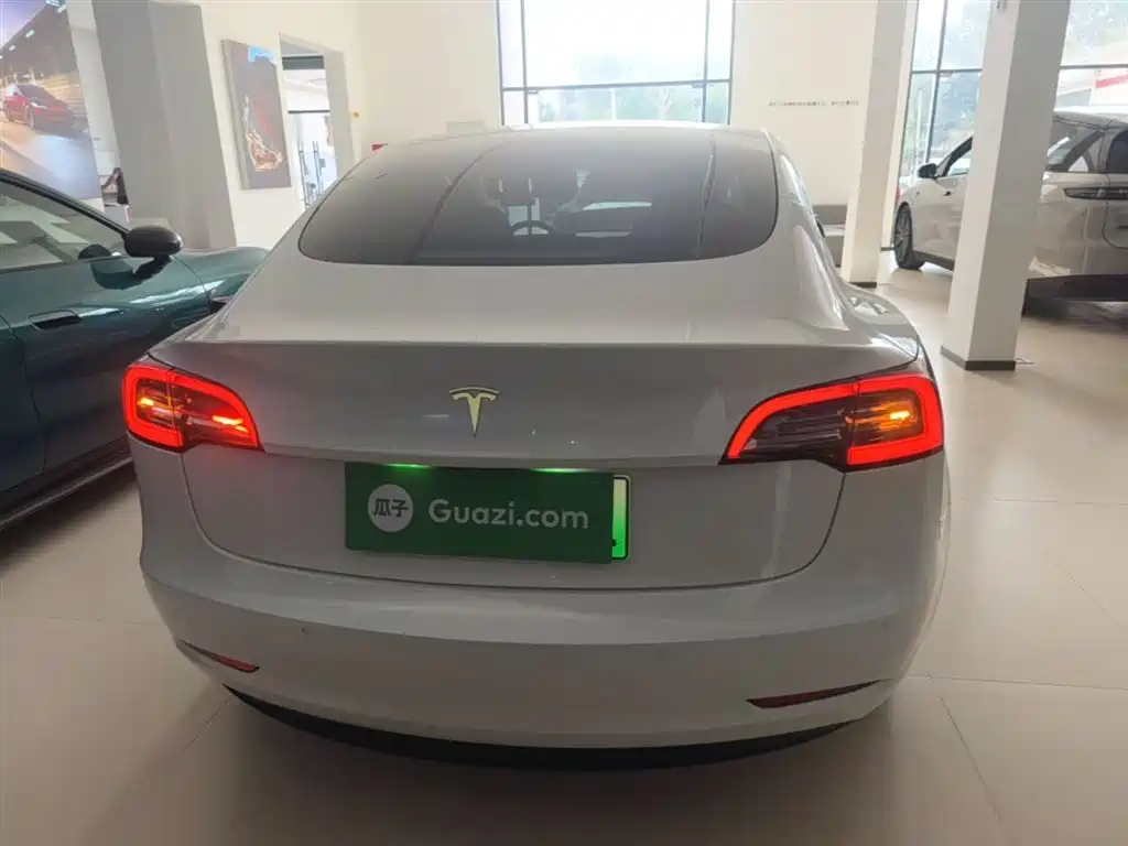 TESLA MODEL 3 (IMPORTED)