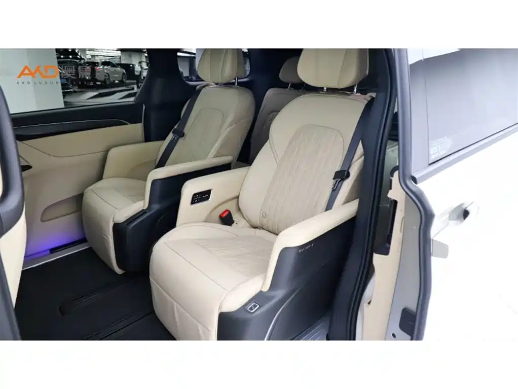 Buick GL8 2022 ES Landmark 653T Luxury фото 7