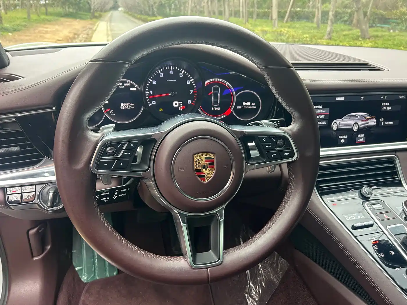 Porsche Panamera 2019 Panamera 2.9T фото 15