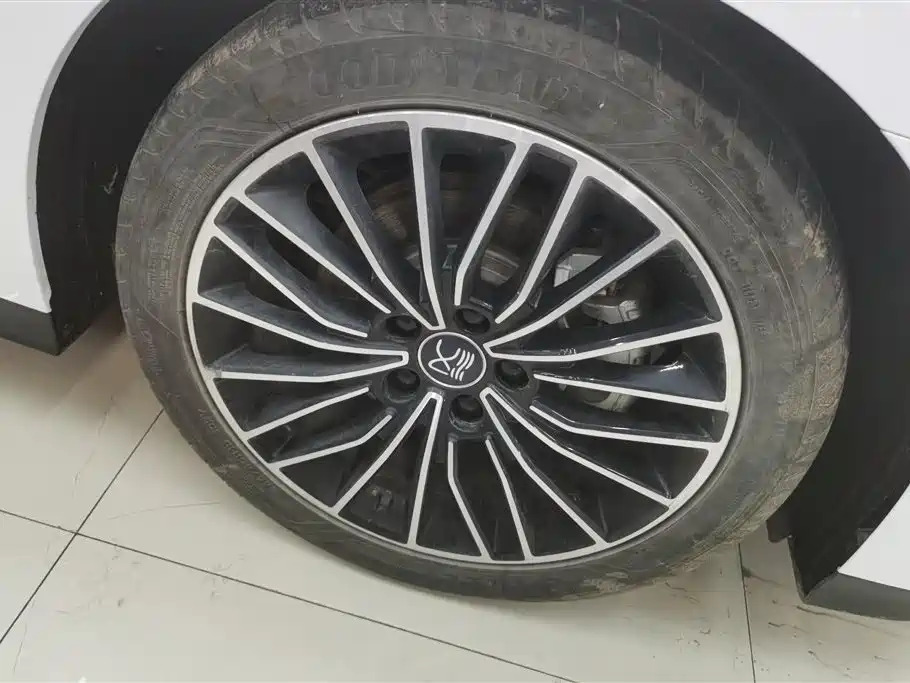 BYD Han 2023 DM-i Champion Edition 121KM Honor фото 6