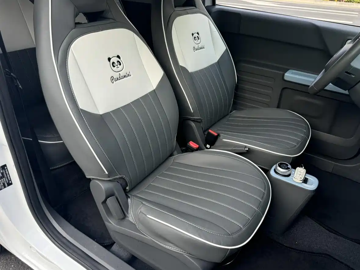 Geely Galaxy Panda 2023 Panda Mini 200km Endurance Bear фото 8