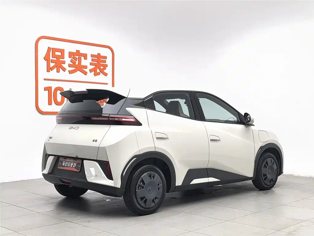 BYD Seagull 2025 Smart Drive Edition 305km Vitality Version фото 2