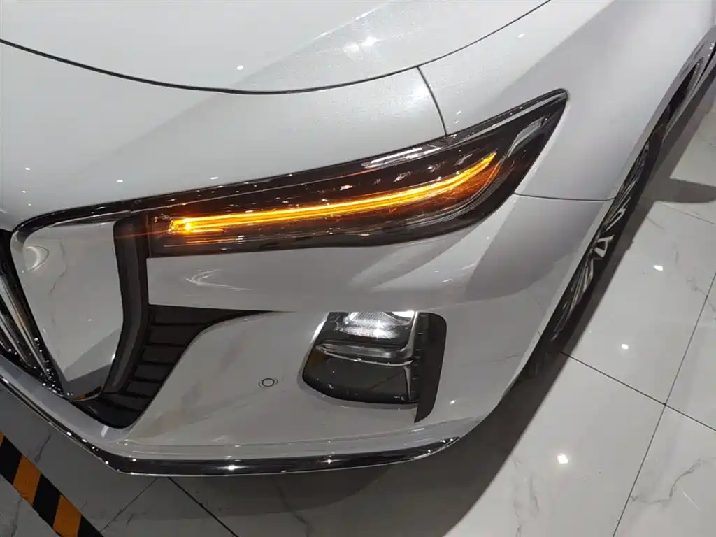 Hongqi H5 2023 2.0T Auto Smart Connect Flag Enjoy фото 24