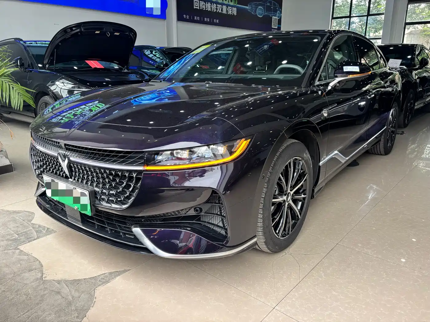 Voyah Auto VOYAH Zhuiguang 2024 PHEV AWD Ultra-long Range Executive Edition