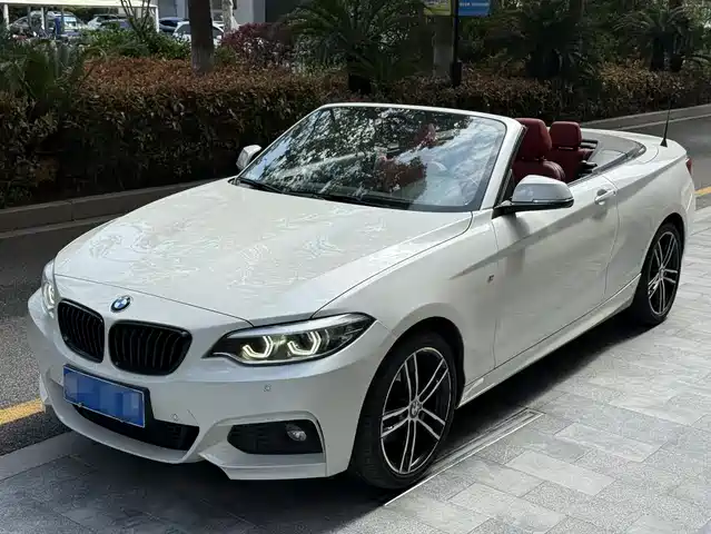BMW 2 Series (Import) 2019 225i Convertible Coupe Sport Design Package