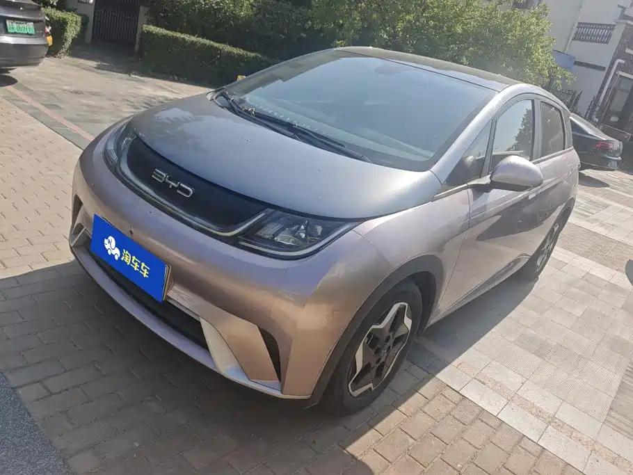 BYD Dolphin 2021 Model 405km Fashion Edition