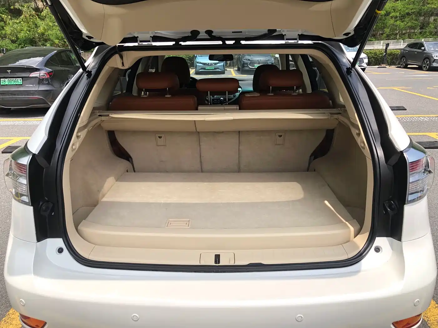 Lexus RX Classic 2011 270 Elegance фото 8