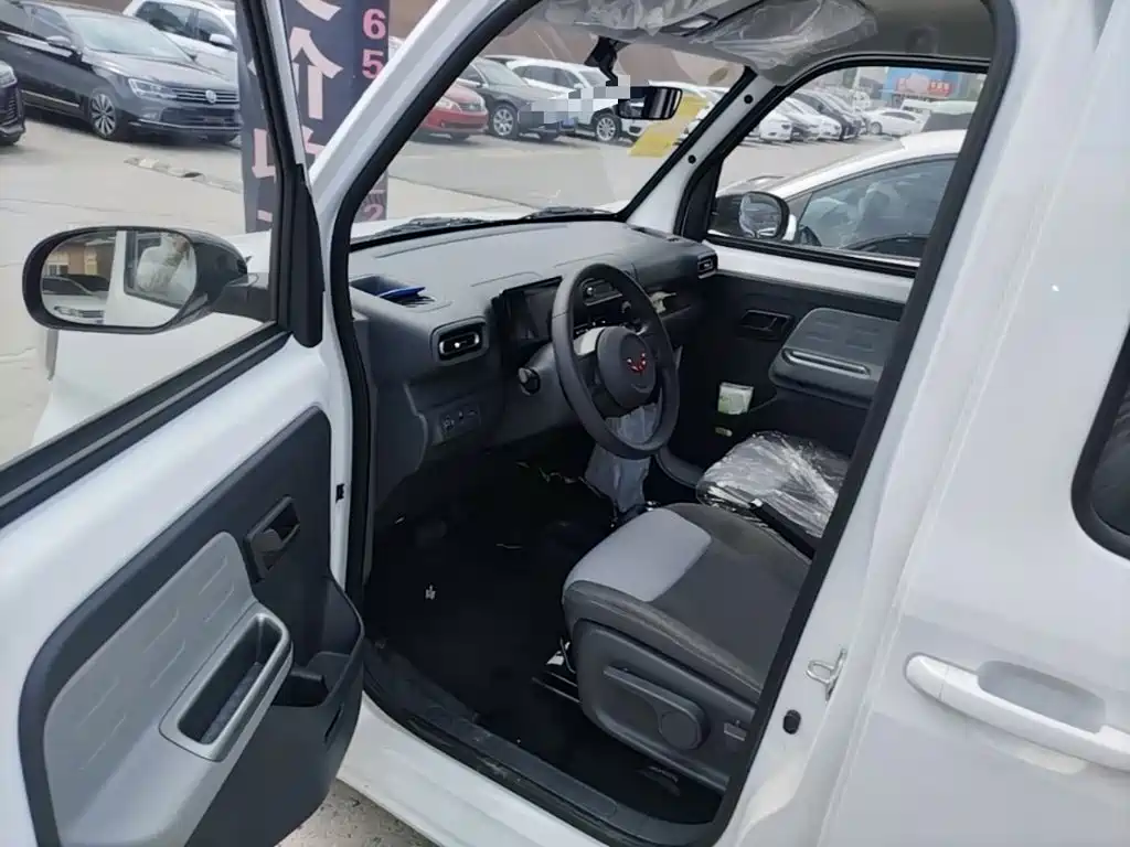 Wuling Motors Wuling Zhiguang NEV 2026 2025 Model 305km Base Version
