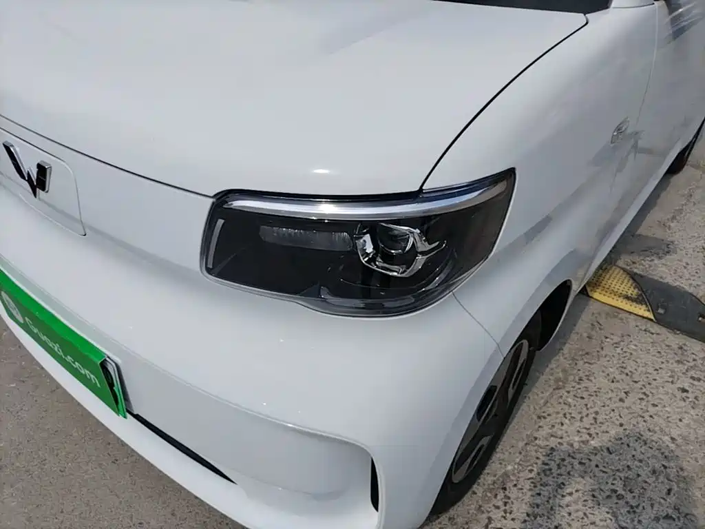 Wuling Motors Wuling Zhiguang NEV 2026 2025 Model 305km Base Version