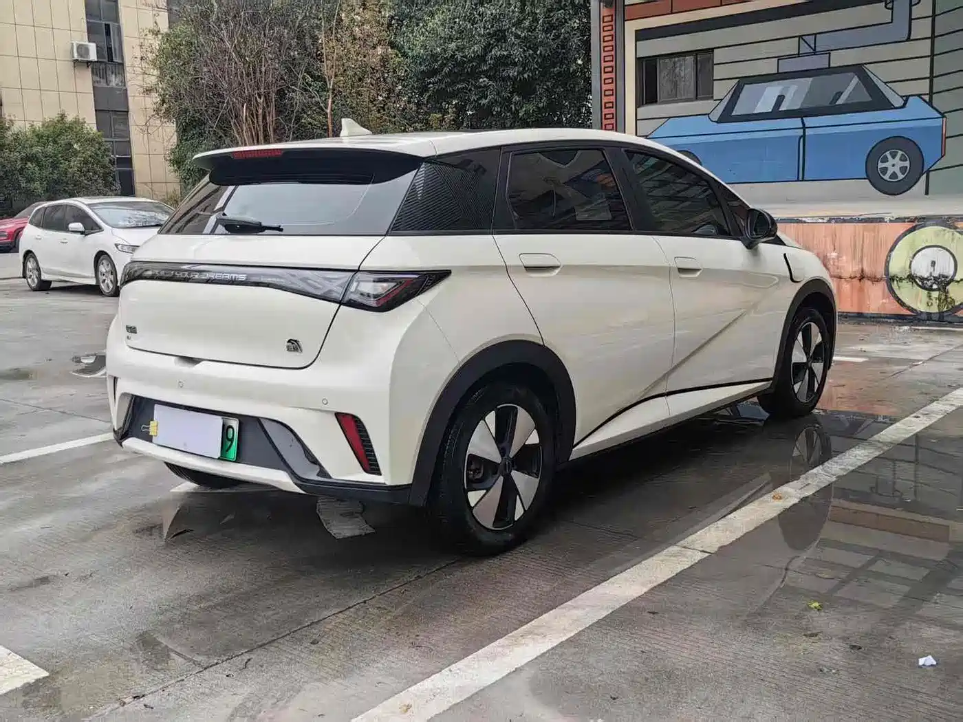 BYD Dolphin 2023 420km Fashion Edition фото 7