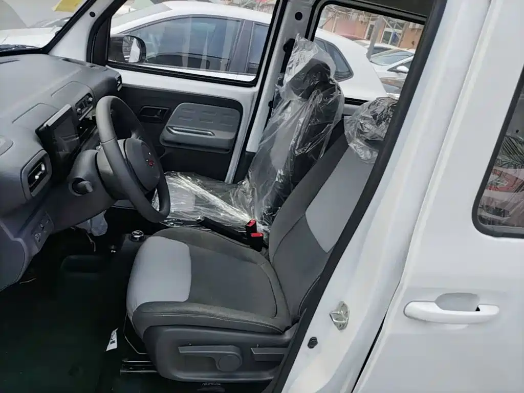Wuling Motors Wuling Zhiguang NEV 2026 2025 Model 305km Base Version