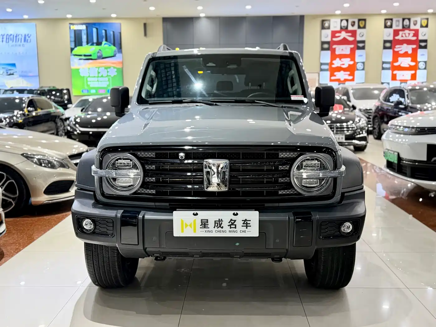 Tank 300 2023 Off-Road Edition 2.0T Conqueror фото 4