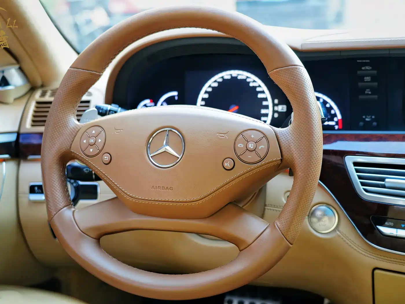 Mercedes-Benz S-Class AMG 2010 AMG S 65 фото 14